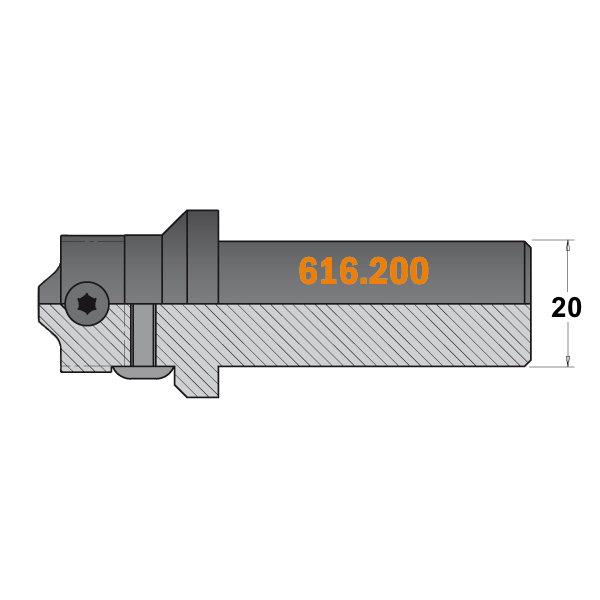 Фреза (корпус) для сменных ножей S=20 D=20x85 RH CMT 616.200