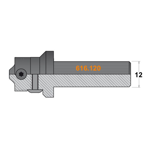 Фреза (корпус) для сменных ножей S=12 D=20x85 RH CMT 616.120